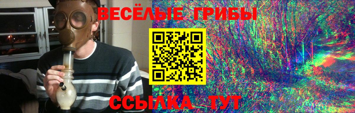 Холмск  Псилоцибиновые грибы GOLDEN TEACHER  Вход с VPN 