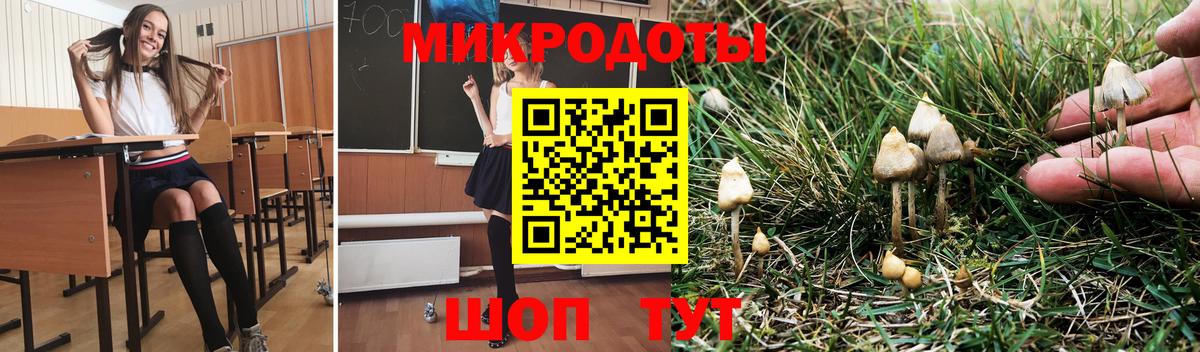 Псилоцибиновые грибы Cubensis Холмск